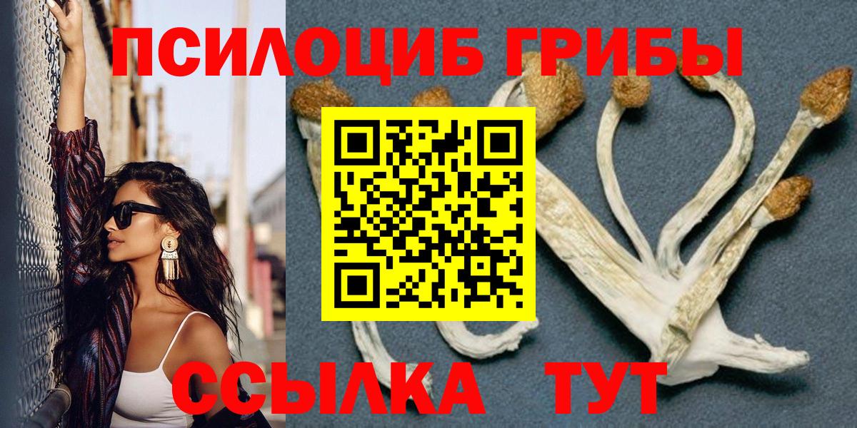 Галлюциногенные грибы Psilocybine cubensis Нарьян-Мар